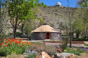 Rent our Yurt for business meetings and take a walk along the trail for lunch.