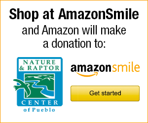 Smile Banner