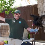mp_JohnGallagher and turkey vulture